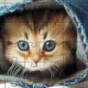 Cute Cat Jigsaw Puzzle